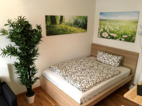  Apartment Flowerside  Регенсбург